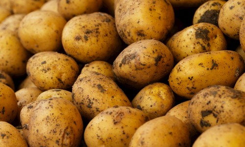 豆沙包包-【豆沙包最简单5个花样】豆沙包花样创意搭配 - 豆沙包指甲效果图网