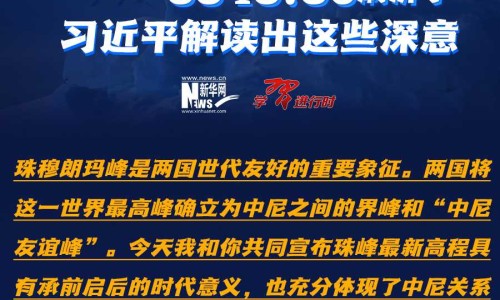 豆沙包指甲效果图大全-【豆沙包最简单5个花样】豆沙包花样创意搭配 - 豆沙包指甲效果图网
